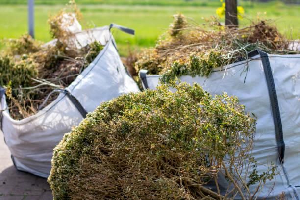 Best Electronics Removal Services  in Monticello, GA